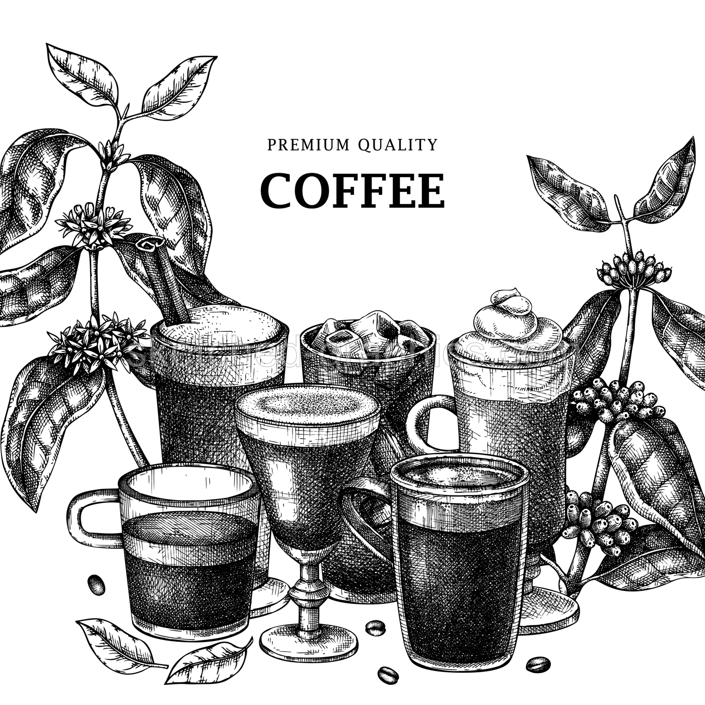 Hand-sketched coffee square card design. With vector sketches of aromatic drinks in mugs and glasses. With botanical coffee plants, leaves and beans in vintage style. Vector beverages frame design Illustration